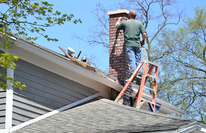 Chimney & Fireplace Inspections Services in De Pere, WI